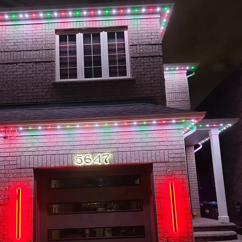 Permanent Outdoor Lights
